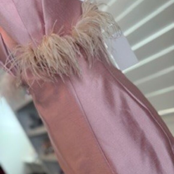 Glamorous Blush Pink Feather-Trim Evening Gown – Size Small - Brand New - Picture 5 of 14